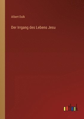 bokomslag Irrgang des Lebens Jesu