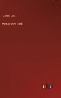 bokomslag Mein grünes Buch