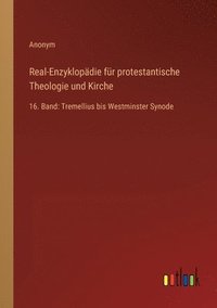 bokomslag Real-Enzyklopädie für protestantische Theologie und Kirche
