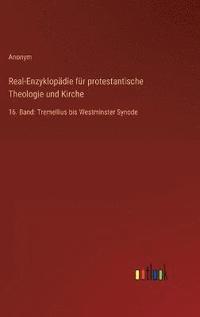 bokomslag Real-Enzyklopdie fr protestantische Theologie und Kirche