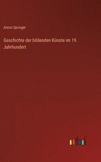 bokomslag Geschichte der bildenden Knste im 19. Jahrhundert