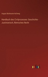 bokomslag Handbuch des Civilprozesses