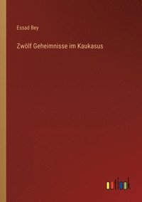 bokomslag Zwlf Geheimnisse im Kaukasus