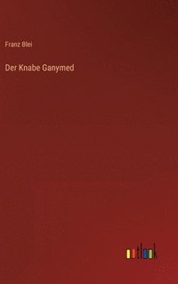 bokomslag Knabe Ganymed