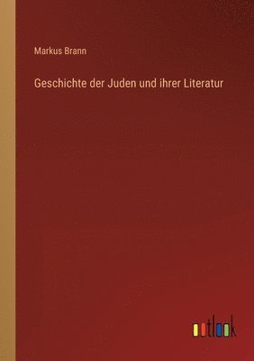 bokomslag Geschichte der Juden und ihrer Literatur