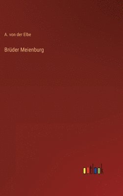bokomslag Brüder Meienburg