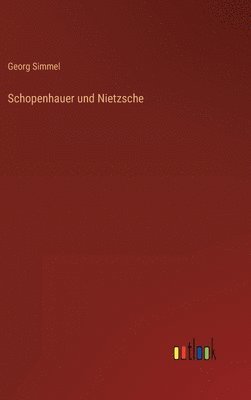 bokomslag Schopenhauer und Nietzsche