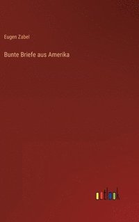 bokomslag Bunte Briefe aus Amerika