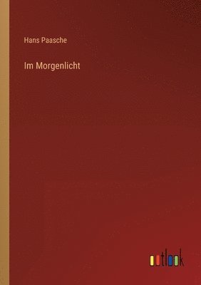 bokomslag Im Morgenlicht