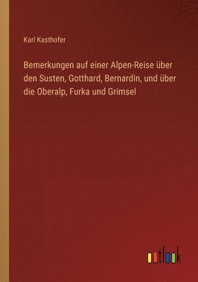 bokomslag Bemerkungen auf einer Alpen-Reise über den Susten, Gotthard, Bernardin, und über die Oberalp, Furka und Grimsel