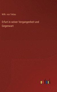 bokomslag Erfurt in seiner Vergangenheit und Gegenwart
