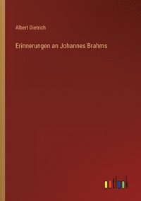 bokomslag Erinnerungen an Johannes Brahms