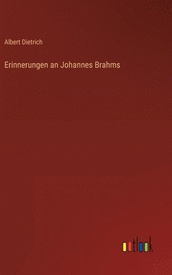 bokomslag Erinnerungen an Johannes Brahms