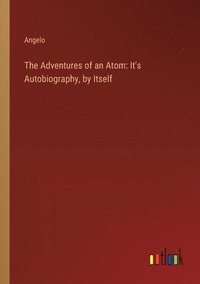bokomslag Adventures of an Atom