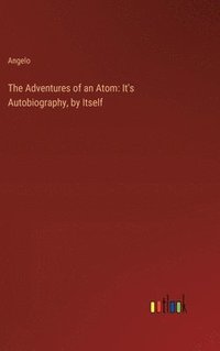 bokomslag Adventures of an Atom