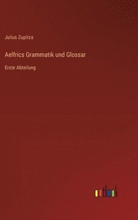bokomslag Aelfrics Grammatik und Glossar