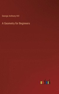 bokomslag A Geometry for Beginners