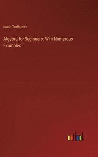 bokomslag Algebra for Beginners