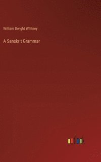 bokomslag A Sanskrit Grammar