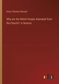 bokomslag Why are the Welsh People Alienated from the Church?