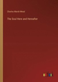 bokomslag Soul Here and Hereafter