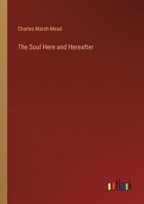 bokomslag Soul Here and Hereafter