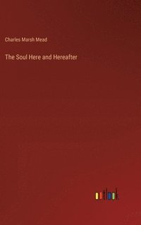bokomslag Soul Here and Hereafter