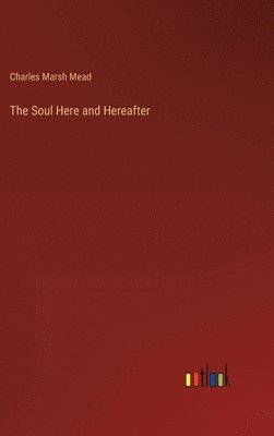 bokomslag Soul Here and Hereafter