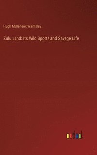 bokomslag Zulu Land