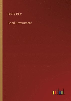 bokomslag Good Government