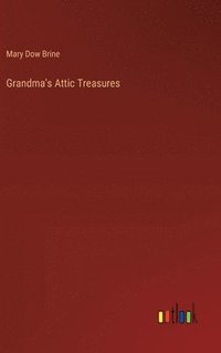 bokomslag Grandma's Attic Treasures