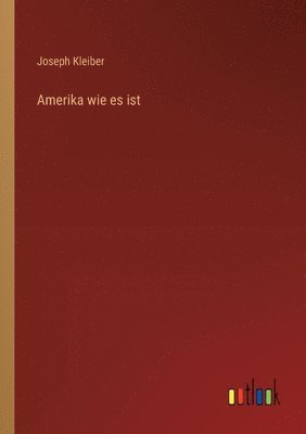 bokomslag Amerika wie es ist