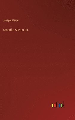 bokomslag Amerika wie es ist
