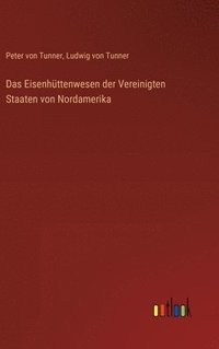 bokomslag Eisenhüttenwesen der Vereinigten Staaten von Nordamerika