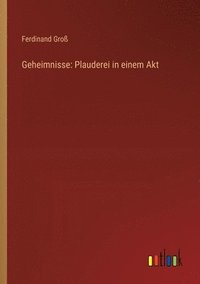 bokomslag Geheimnisse