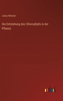 bokomslag Die Entstehung des Chlorophylls in der Pflanze