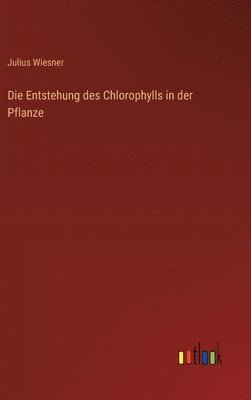 bokomslag Entstehung des Chlorophylls in der Pflanze