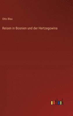 bokomslag Reisen in Bosnien und der Hertzegowina