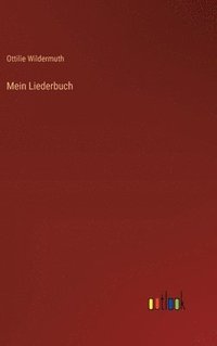 bokomslag Mein Liederbuch