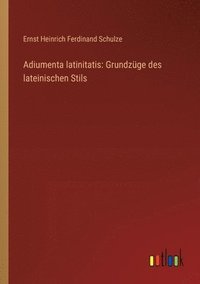 bokomslag Adiumenta latinitatis