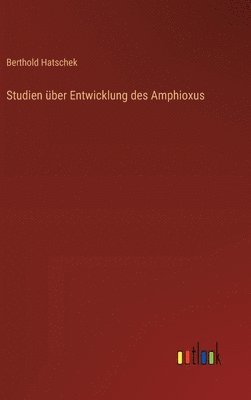 bokomslag Studien ber Entwicklung des Amphioxus