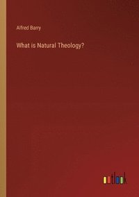 bokomslag What is Natural Theology?