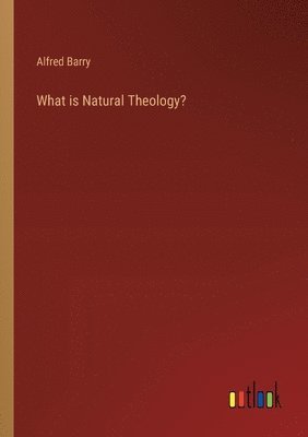 bokomslag What is Natural Theology?