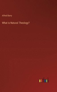 bokomslag What is Natural Theology?