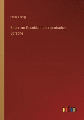 bokomslag Bilder zur Geschichte der deutschen Sprache