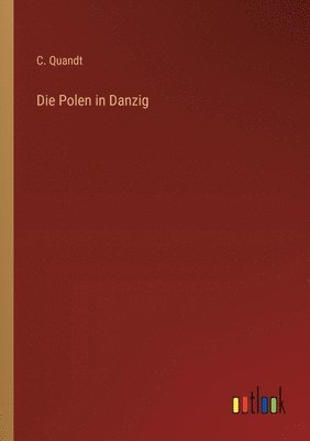 bokomslag Die Polen in Danzig