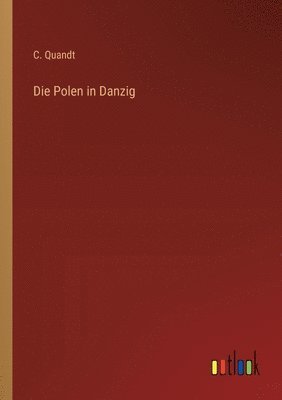 bokomslag Polen in Danzig