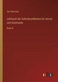 bokomslag Lehrbuch der Gehirnkrankheiten fr Aerzte und Studirende