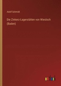 bokomslag Zinkerz-Lagerstätten von Wiesloch (Baden)