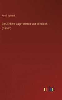 bokomslag Die Zinkerz-Lagersttten von Wiesloch (Baden)